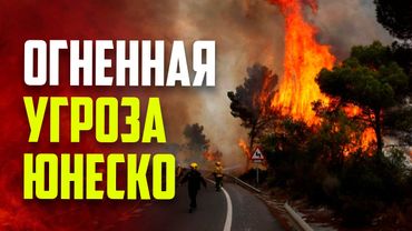 Пожары в Испании вынудили эвакуировать более 1600 человек в Кастилии и Леоне