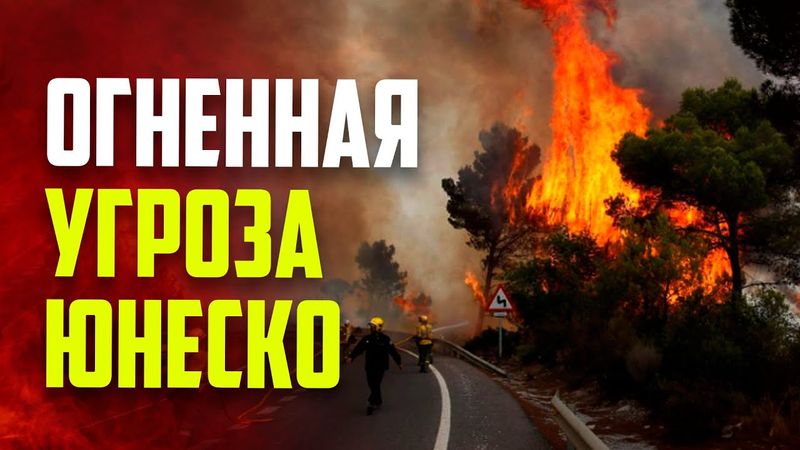 Пожары в Испании вынудили эвакуировать более 1600 человек в Кастилии и Леоне