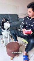 #粉丝一千万#pet#pets#cute#funny  #dog#funnydog#funnyvideos#viral  #foryou#...