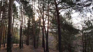 Кто может стать начальником? Кем закрыть вакансию начальника в работе по найму в организации?