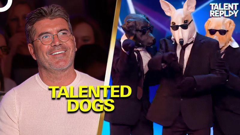 Watch These Dogs Steal The Show On Stage | Britain's Got Talent