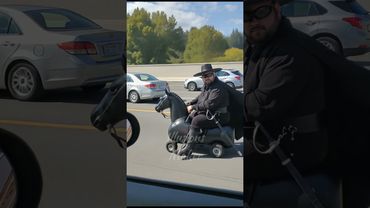 Zorro est là !!! 😅😂 #zorro #humour #fyoupage #fypシ゚viral #fyp