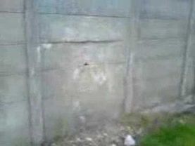 Придурок ломает забор.