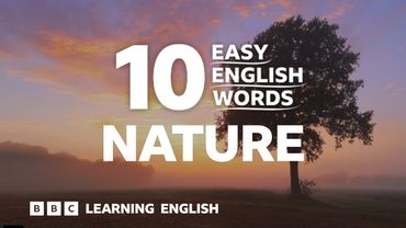 10 Easy English Words: Nature 🐦🌻🌲🌹🍂