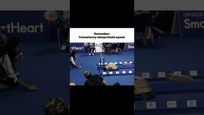 Being consistent outlasts being fast! #trendingshorts #successmindset #motivation #consistency #fyp