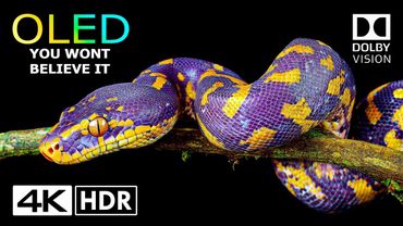 You Won't Believe it but it's Real 4K HDR Dolby Vision - 4K Video ULTRA HD
