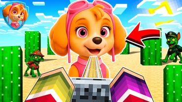 КУДА ВЕДЕТ ДОРОГА ДЕВУШКИ СКАЙ ЩЕНЯЧИЙ ПАТРУЛЬ В МАЙНКРАФТ МУЛЬТИК