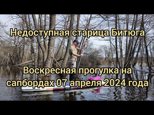 Недоступная старица Битюга. Воскресная прогулка на сапбордах 07.04.24