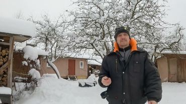 Про 10 лет в деревне,  будни глухозимья и январские яйца переселенных кур несушек!