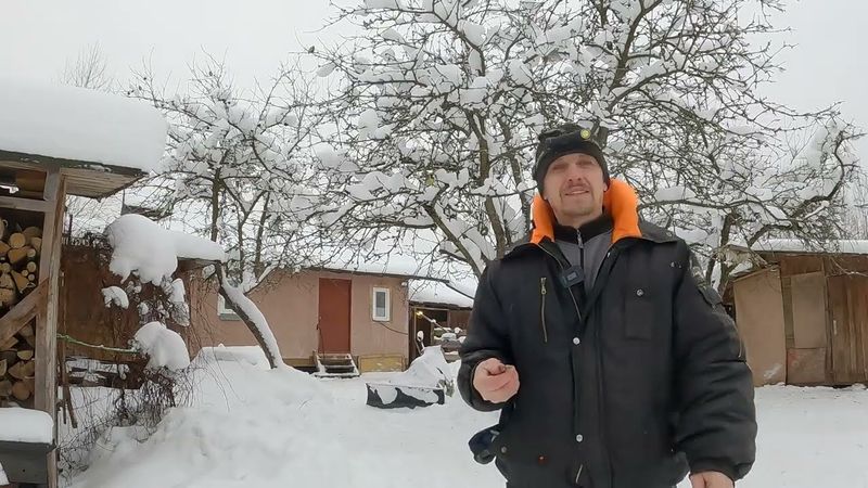 Про 10 лет в деревне,  будни глухозимья и январские яйца переселенных кур несушек!