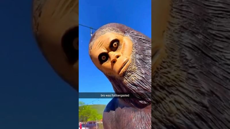 Bro was flabbergasted