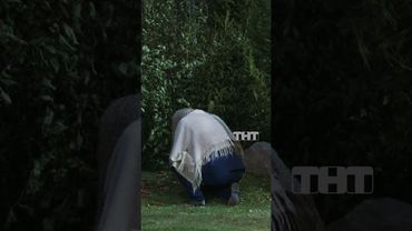 Разговор с начальником 😱 #тнт #овр #овршоу #мусагалиев #дорохов #начальство #работа #офис