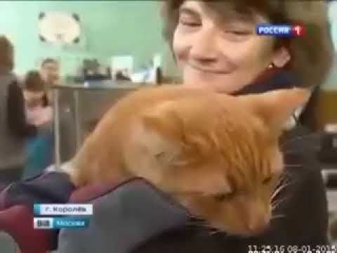 Вести-Москва (Россия 1, 08.01.2015, 11:15)