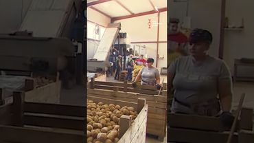 Цены на картофель взлетели в космос