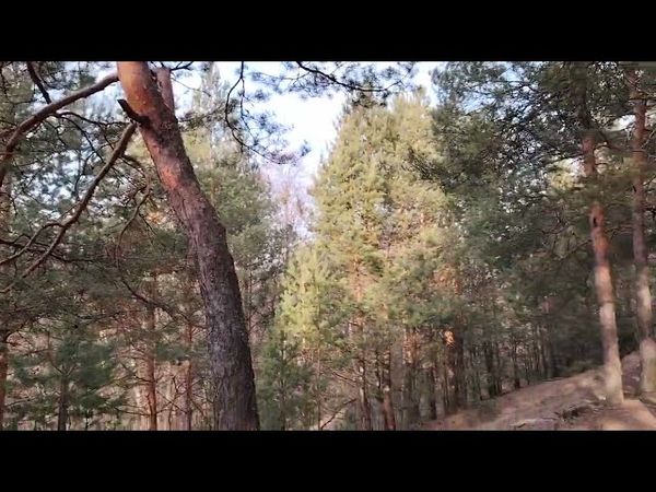 Хотим ли поменять свою жизнь? Почему мы не решаемся на изменения?