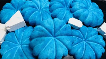 Blue Fresh Dyed Chalk Pumpkin Reforms | Oddly Satisfying ASMR