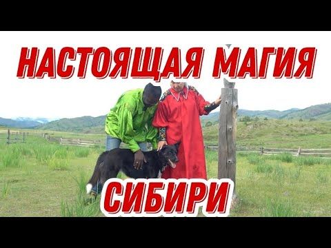 Во что я превратился в Сибири