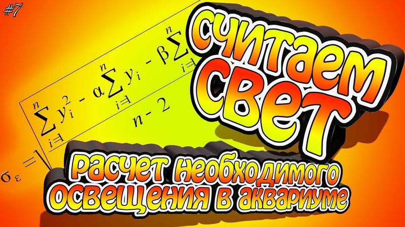 Расчет освещения в аквариуме. Подбор правильного освещения