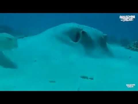 Че за хуйня блять?