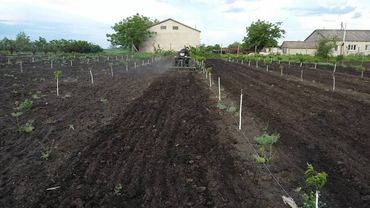 минитрактор мерседес и его культиватор