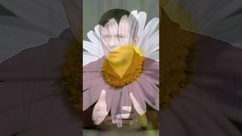 Личность каждого человека, отбросив глупость наносную, может стать частью мира Духовного... #shorts