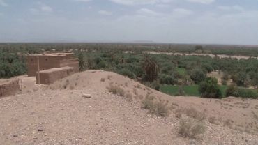 В Марокко спасают высыхающие оазисы