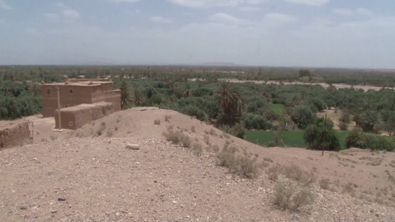 В Марокко спасают высыхающие оазисы