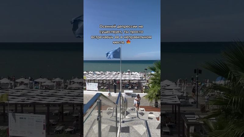 Солнечной субботы, друзья! 🍁🌞 #природа #обзор #отпуск #осень #sochi #взаимнаяподписка #море #рек