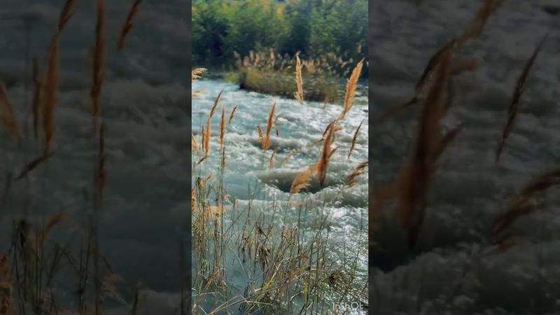 Гизельдон #кавказ #осетия #travel #mountains #алания #природа #ирыстон #горы #nature #река