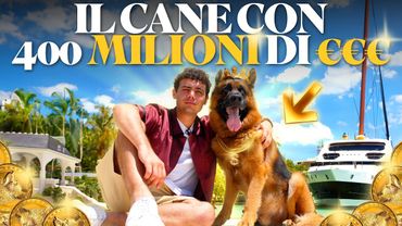 DENTRO la vita del CANE più RICCO del MONDO: storia vera o truffa? - Gunther