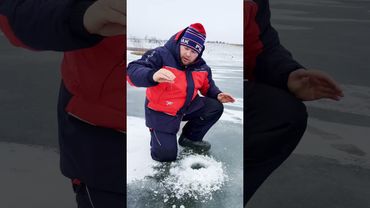 Встречали таких?)