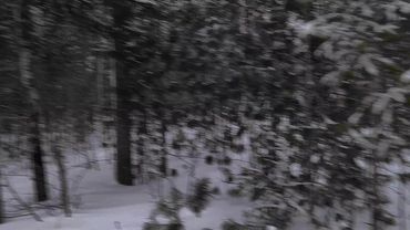 больше фонов в тгк: мистик life #тильт #mistweak #фон #спокойствие #б...