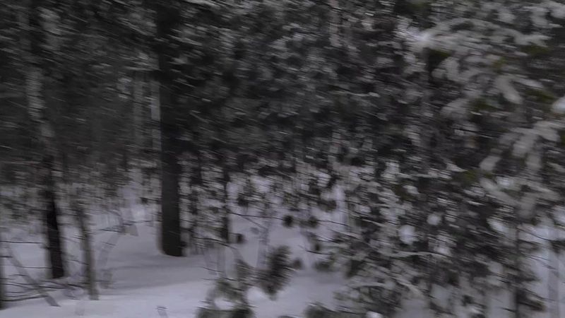 больше фонов в тгк: мистик life #тильт #mistweak #фон #спокойствие #б...