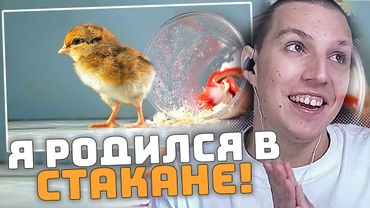 Я РОДИЛСЯ В СТАКАНЕ! | РЕАКЦИЯ МАЗЕЛЛОВА