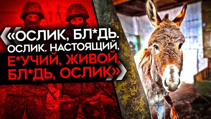 "КОГДА В НАЧАЛЕ СВО ШУТИЛ ПРО КОНЕЙ, ЛУКИ И СТРЕЛЫ, Я ПОХОДУ НЕ ШУТИЛ". Ослы вместо машин в ВС РФ