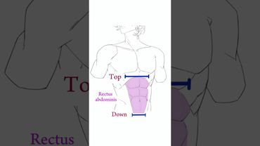 Simple and useful method #anime #digitalanimeart #art #digitaldraw #drawing #ipadproart #animation b