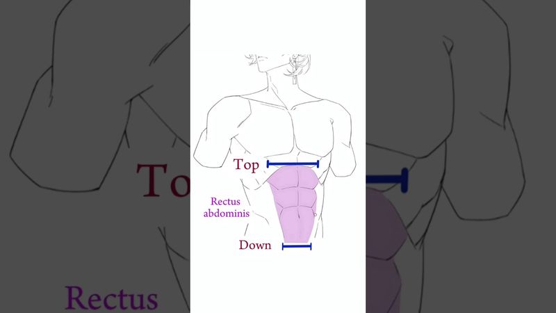 Simple and useful method #anime #digitalanimeart #art #digitaldraw #drawing #ipadproart #animation b