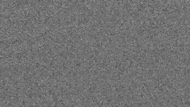 Шипящий экран / Переход для видео