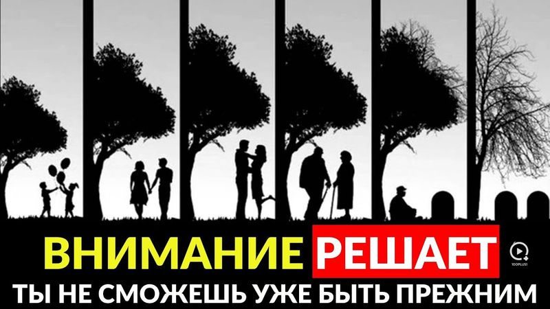 Toda a Verdade Sobre a Sua Vida: O Que Você Chama de Vida - NÃO É Vida