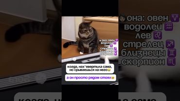 Кто он? Пиши⬇️ #знакзодиака #астроюмор #юмор #советастролога #смех #прикол #камеди #котики  #astro