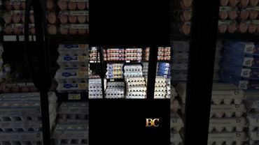 Salmonella outbreak linked to eggs sickens 95 people, CDC says