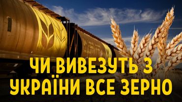 З України вивезуть все зерно?
