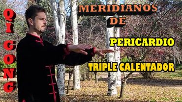 Qi Gong ☯️ CHI KUNG para la SALUD de Estiramiento de los MERIDIANOS, Jing Luo Qi Gong V.