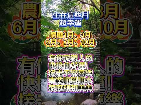 農曆這幾月出生，注定旺全家！錯過等十年！#生肖 #十二生肖 #運勢