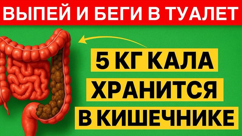 5 КГ КАЛА из кишечника ЗА 1 ЧАС! Живот уйдёт, усталость исчезнет. Больше НИКАКОГО ЗАПОРА!