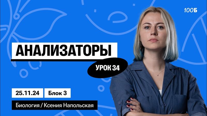 Анализаторы | Биофак 2025 | Урок 34
