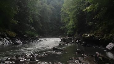 #аляскаянг She was talking about death #alyaskayoung 