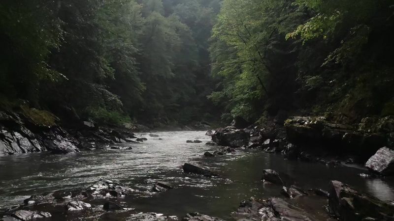 #аляскаянг She was talking about death #alyaskayoung 