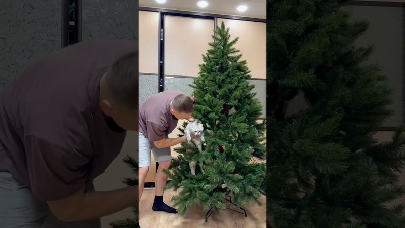 Шикарная Елка 2025.