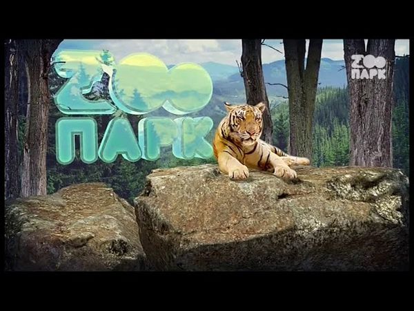 Перехід каналу "Zоопарк" на 16:9 (05.09.2018)